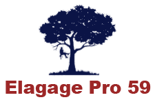 elagage-elagage-pro